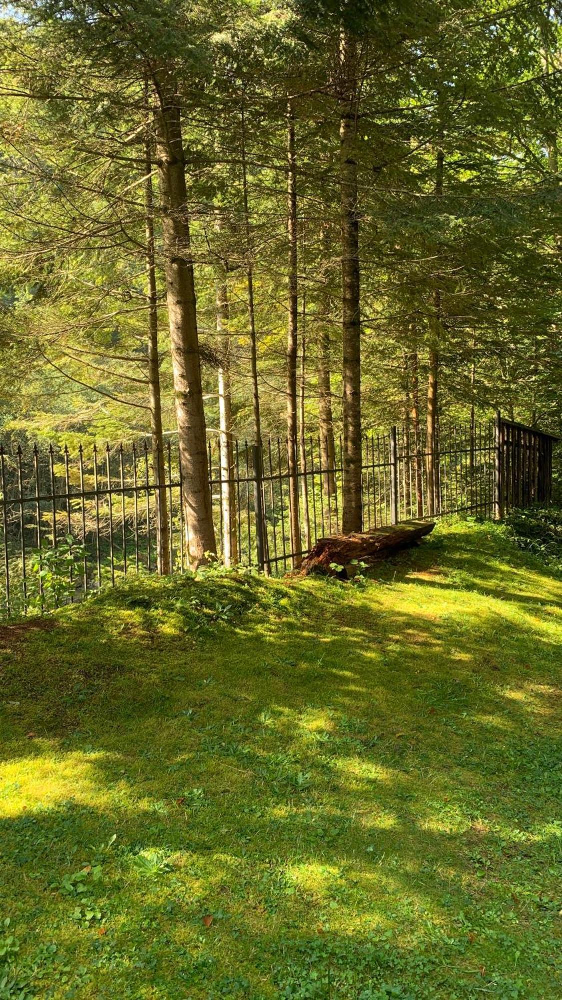 Садиба Nad Prutom Яремче Екстериор снимка